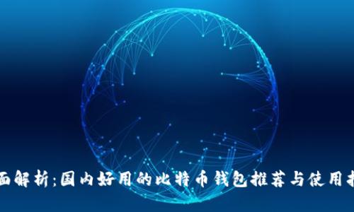 全面解析：国内好用的比特币钱包推荐与使用指南
