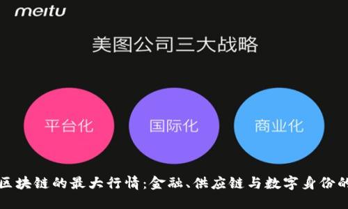 探索区块链的最大行情：金融、供应链与数字身份的未来