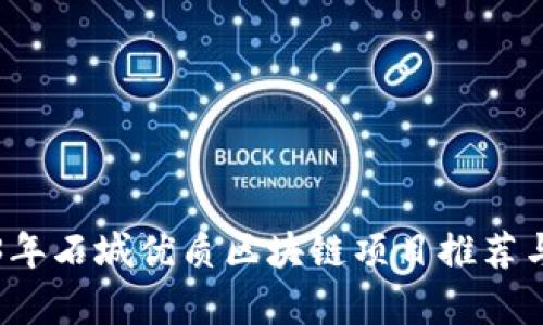 2023年石城优质区块链项目推荐与分析