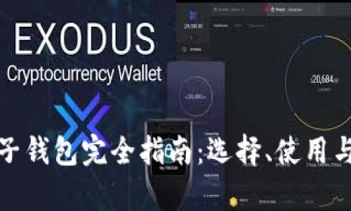 数字货币电子钱包完全指南：选择、使用与安全性分析