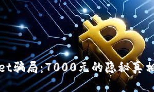 揭秘tpWallet骗局：7000元的隐秘真相与保护措施