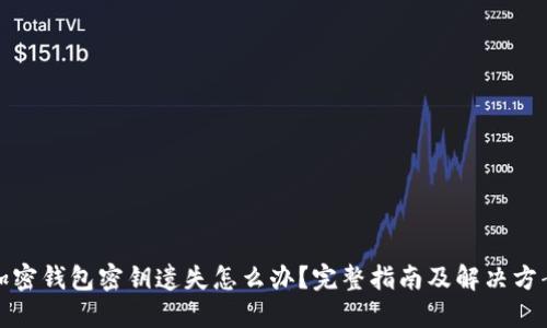 加密钱包密钥遗失怎么办？完整指南及解决方案