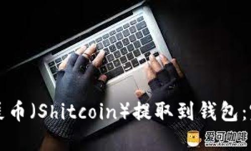 如何将屎币（Shitcoin）提取到钱包：完整指南
