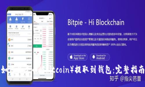 如何将屎币（Shitcoin）提取到钱包：完整指南