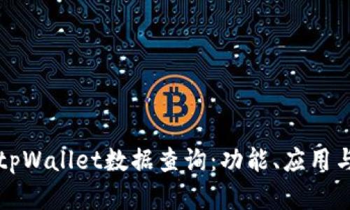 深入解析tpWallet数据查询：功能、应用与最佳实践