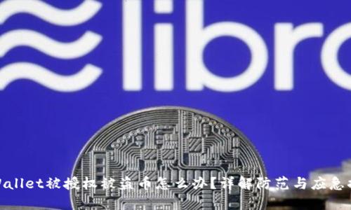 tpWallet被授权被盗币怎么办？详解防范与应急措施